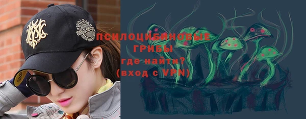 первитин Ладушкин