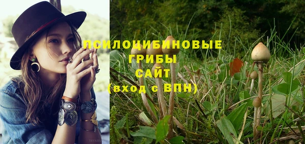 хмурый Краснотурьинск