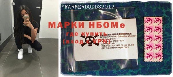 шишки Корсаков