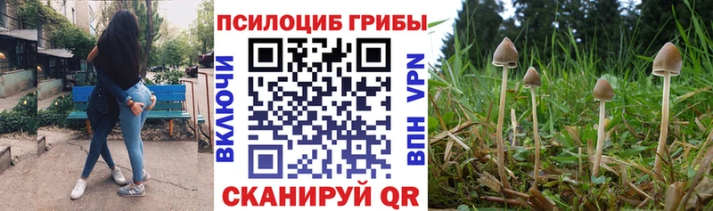 где можно купить   Кяхта  Галлюциногенные грибы ЛСД 